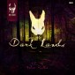 [DD15050] Various – Into The Dark Lands – Follow The White Rabbit