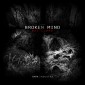 [DI.XIV] Broken Mind – Wasteland