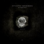 [SOP 019-1313] Synaptic Memories – Symbiosis